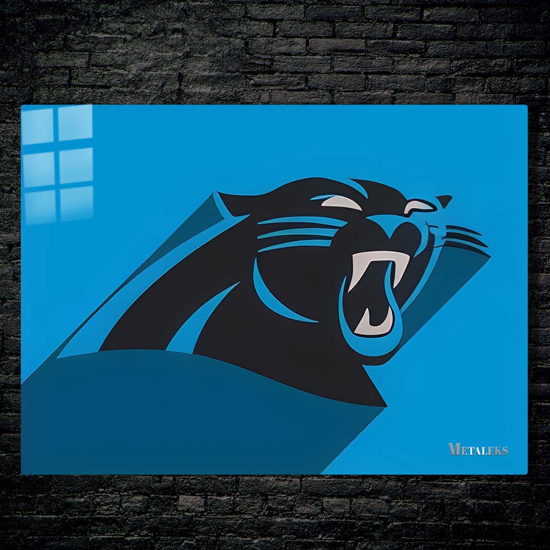 Carolina Panthers