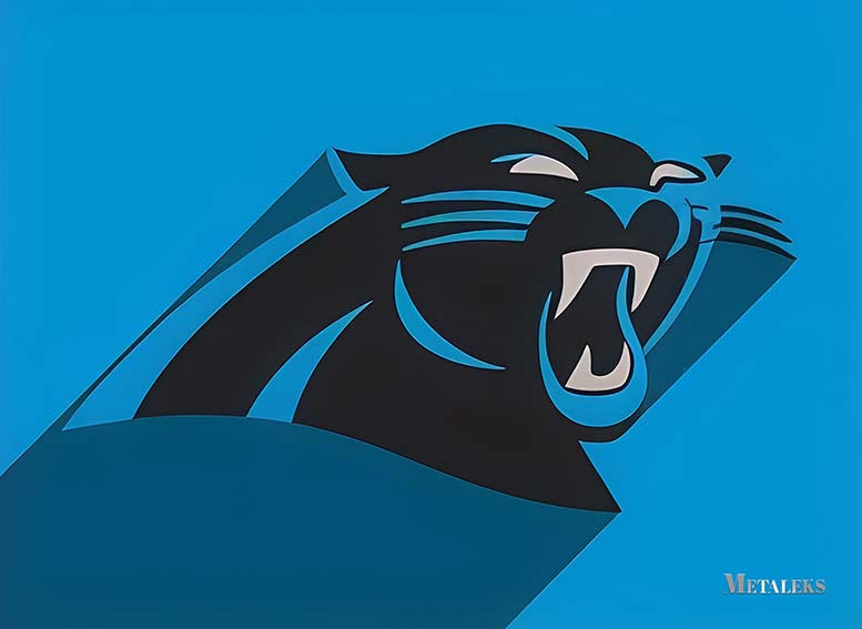 Carolina Panthers