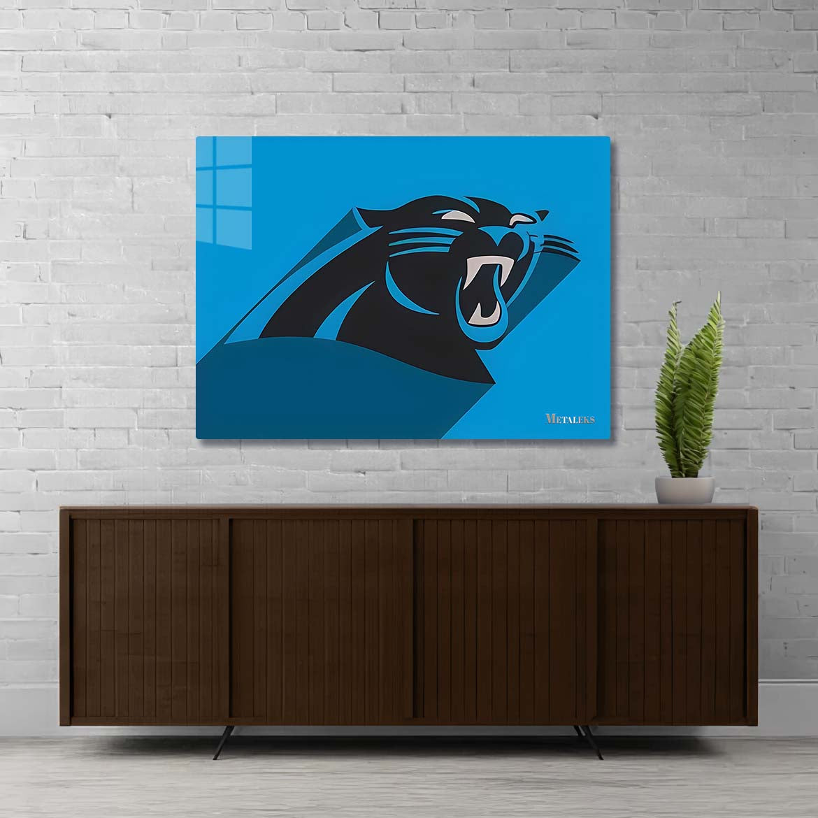 Carolina Panthers