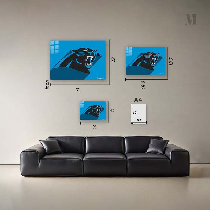 Carolina Panthers