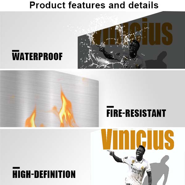 Vin¨ªcius J¨²nior Minimalist