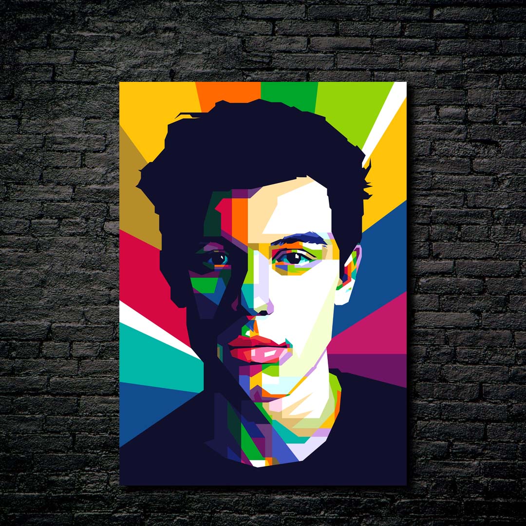 shawn mendes wpap